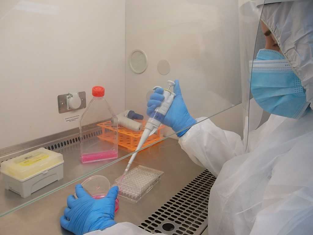 Foto: Arquivo pessoal Estudo foi desenvolvido no Laboratório de Biossegurança Nível 3 (NB3) do ICB